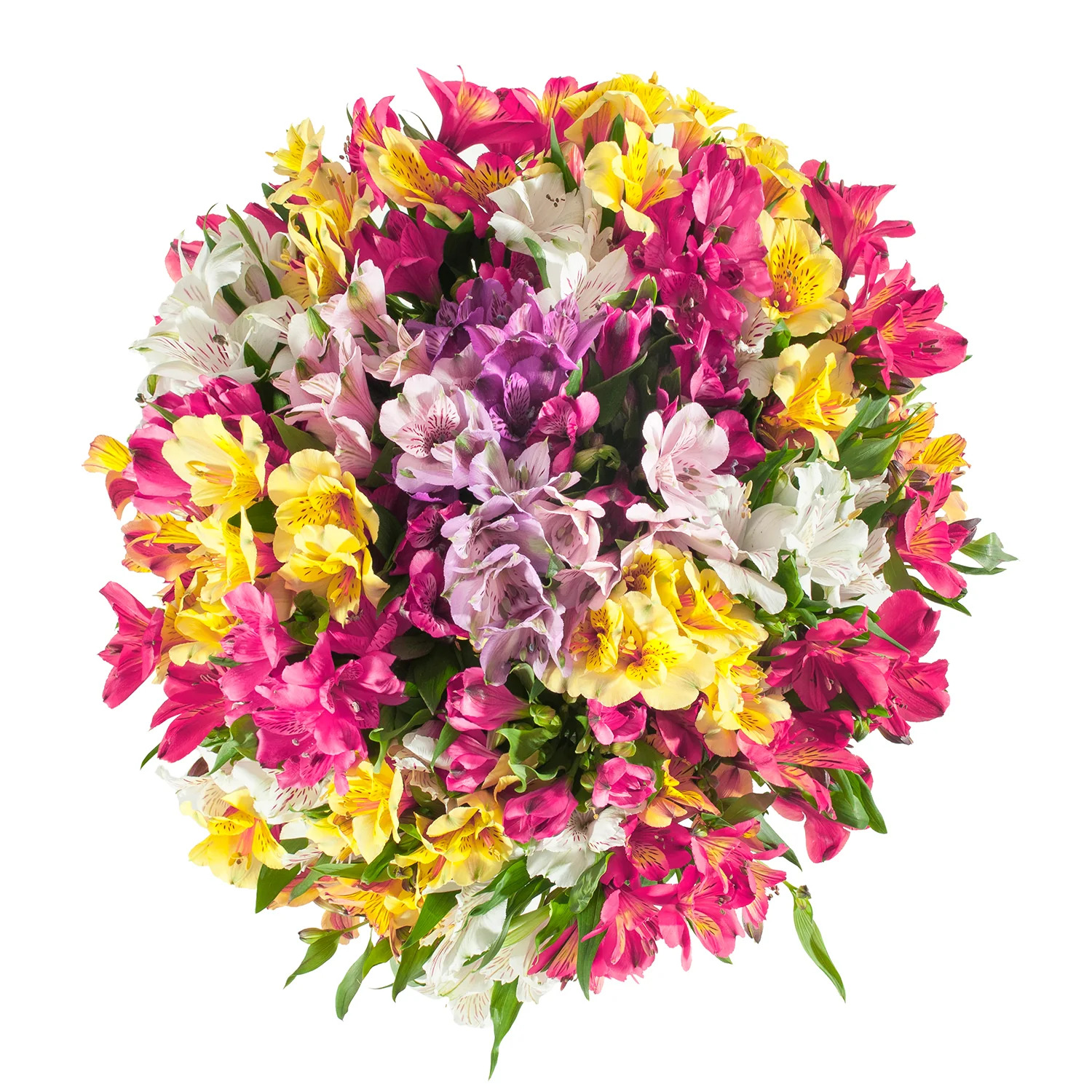 Mix Alstroemeria