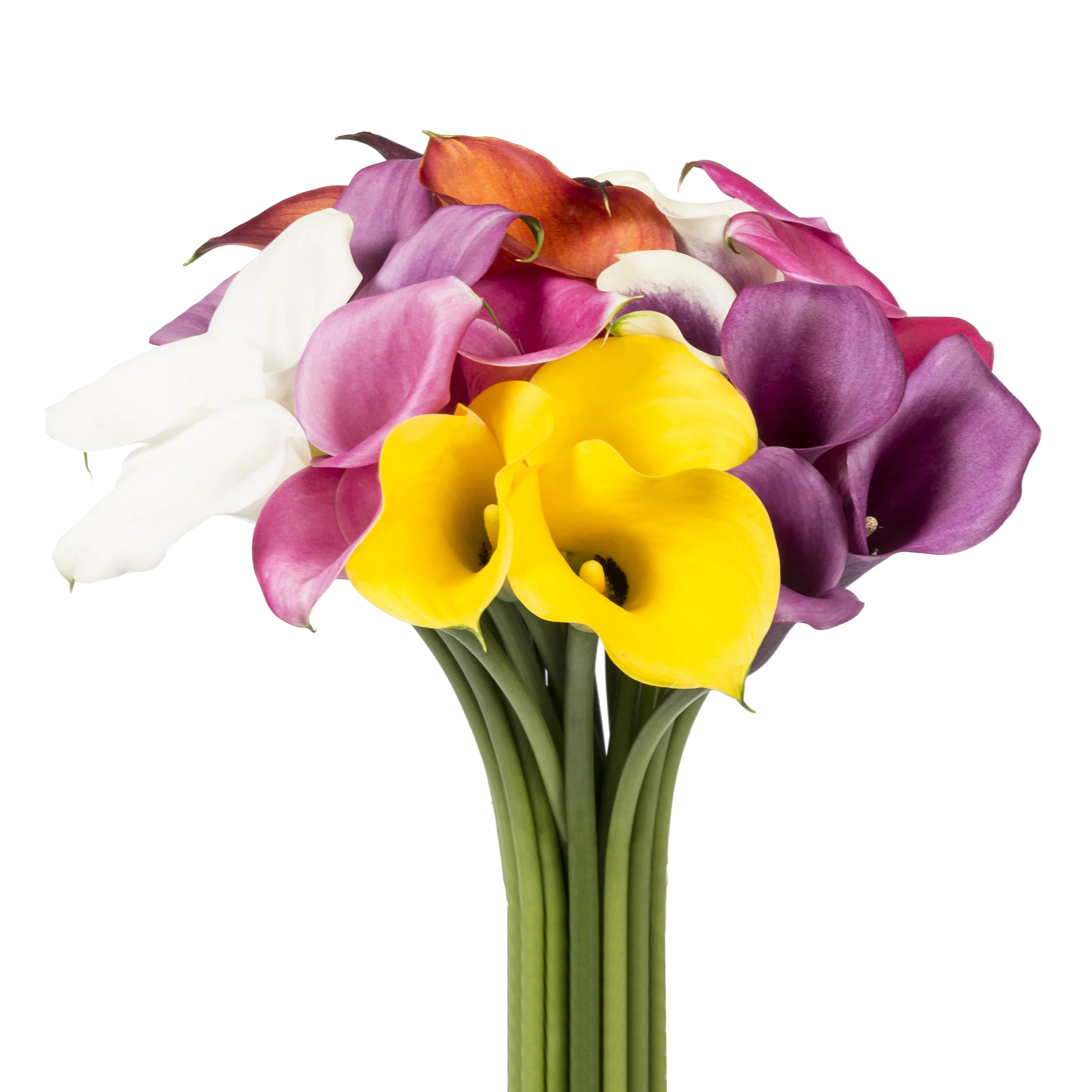 Mix Calla Lily - 10 Adet