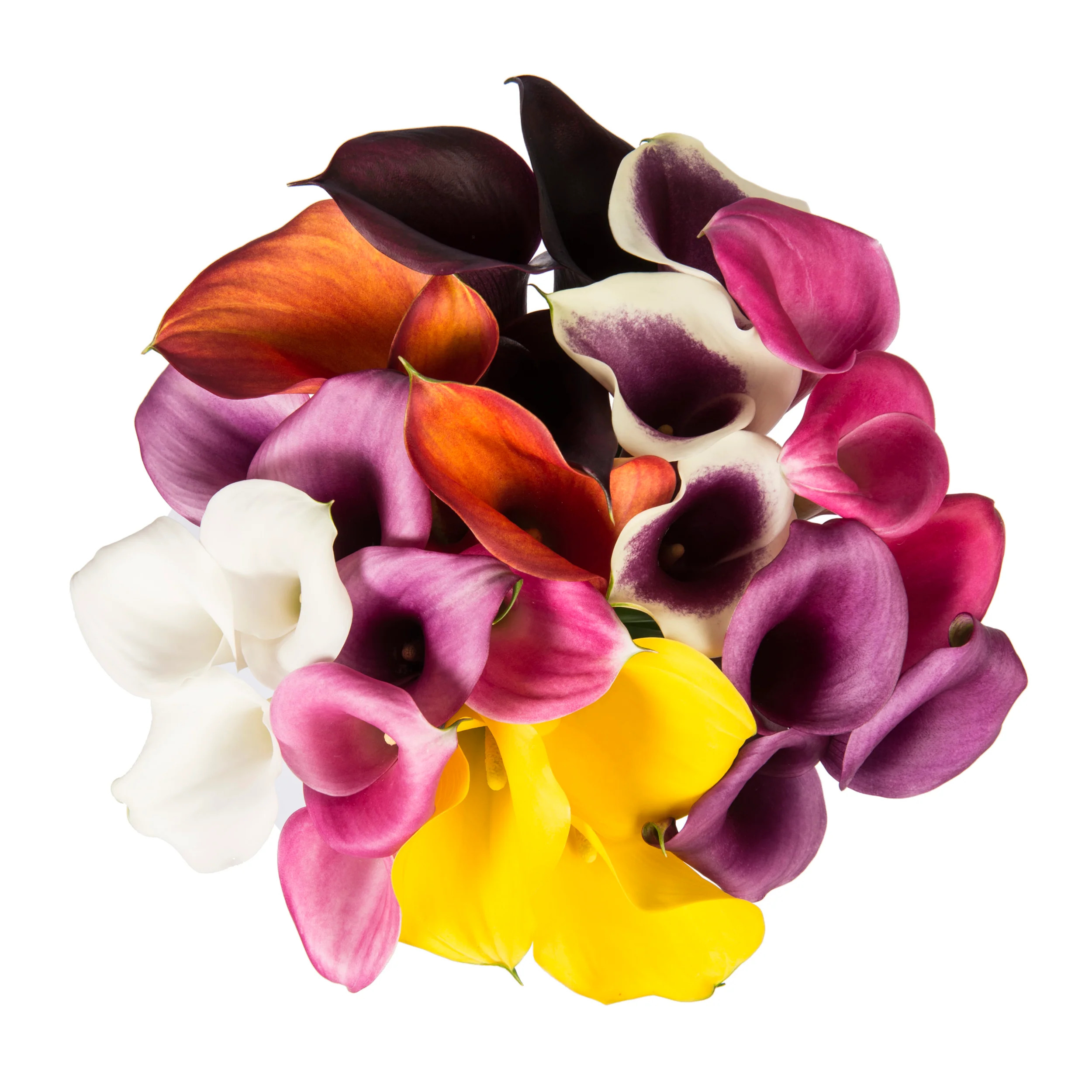 Mix Calla Lily - 10 Adet