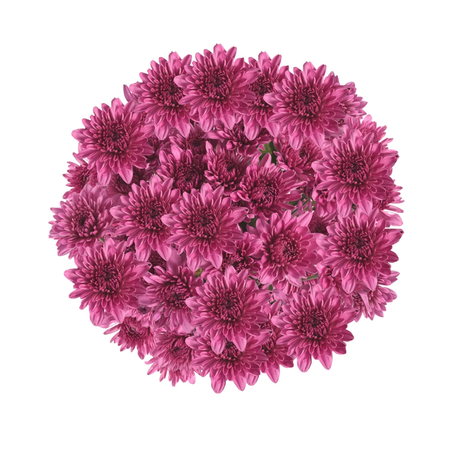 Pink Pompom Cushion - 5 Dal