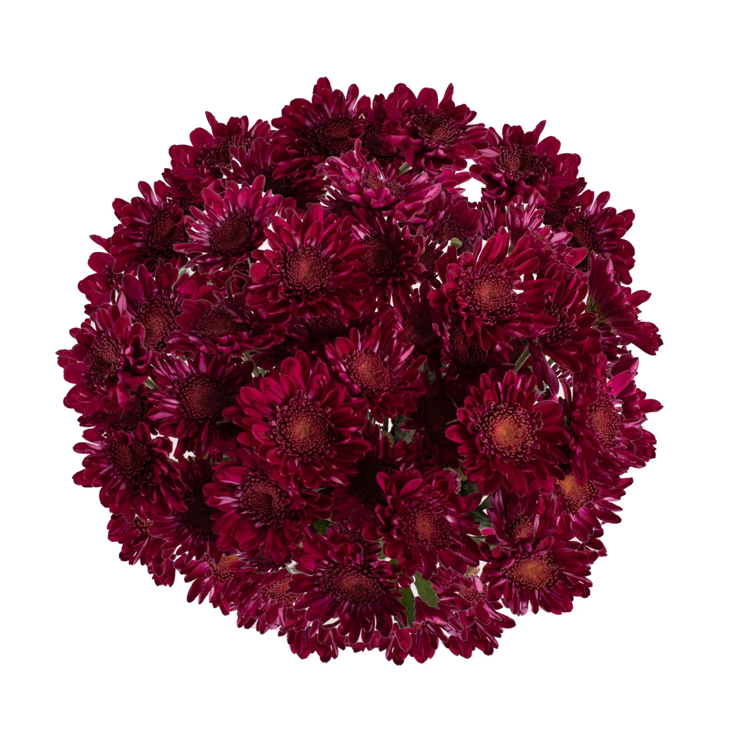 Purple Pompom Cushion - 5 Dal