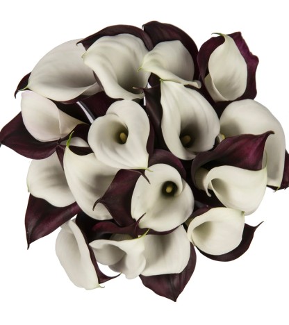 Black & White Calla Lilies - 10 Adet