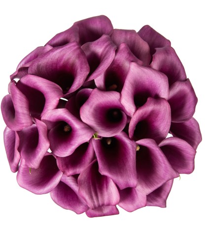 Purple Calla Lilies - 10 Adet