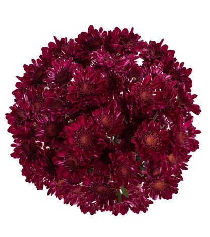 Purple Pompom Cushion - 5 Dal